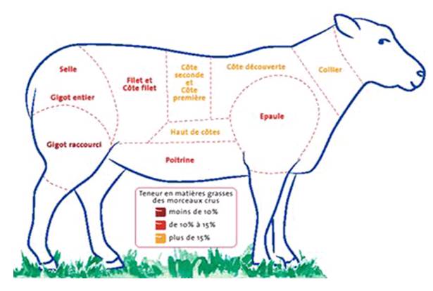 conseil nutritionnelle foto3