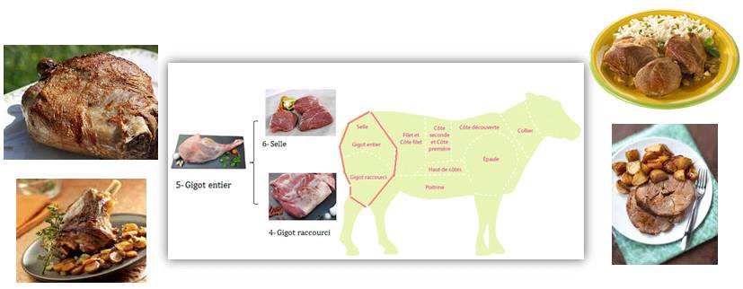 gigot3