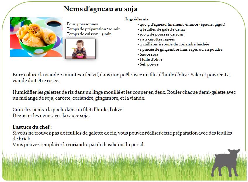 Nems d'agneau au soja1