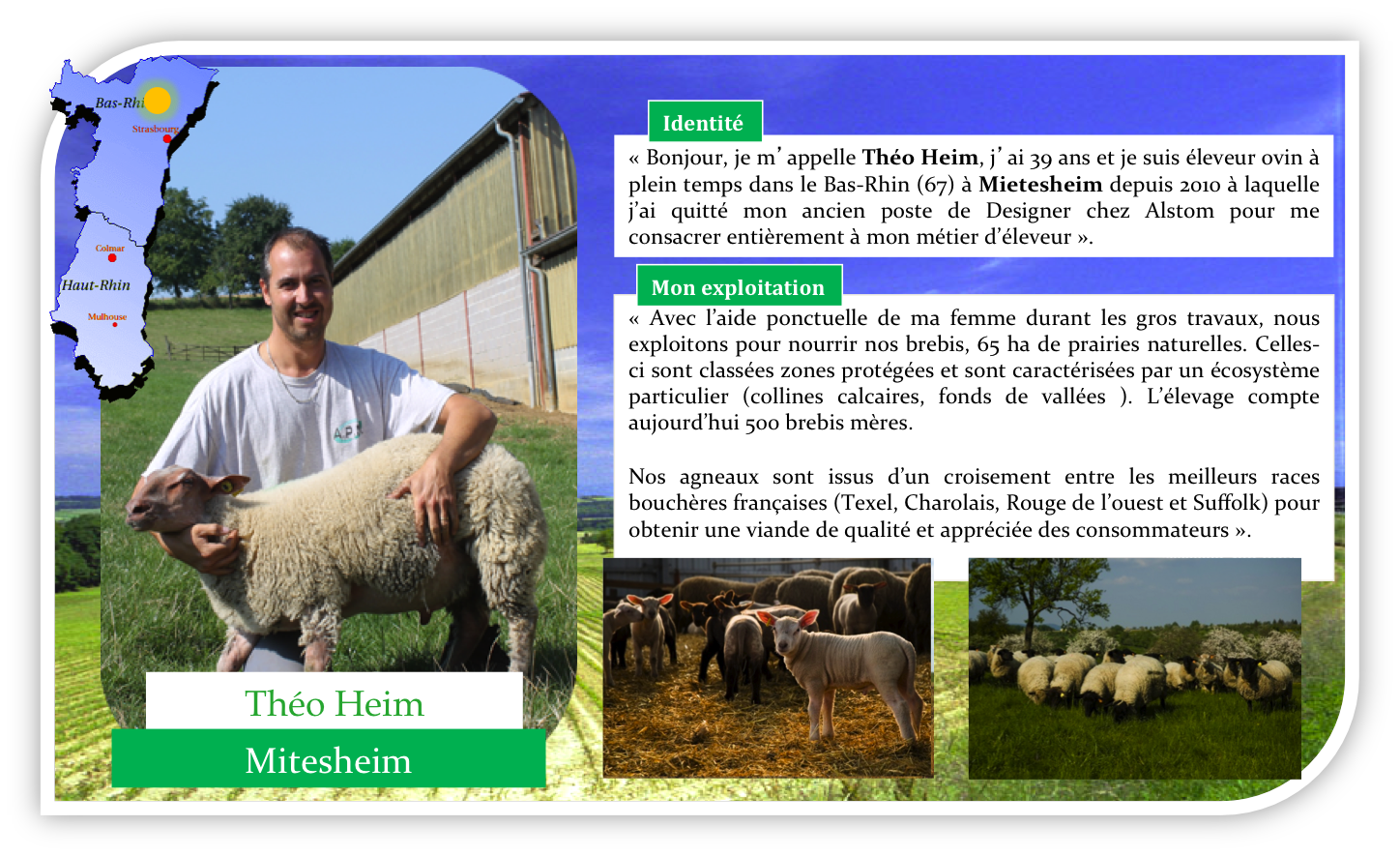 theoHeim